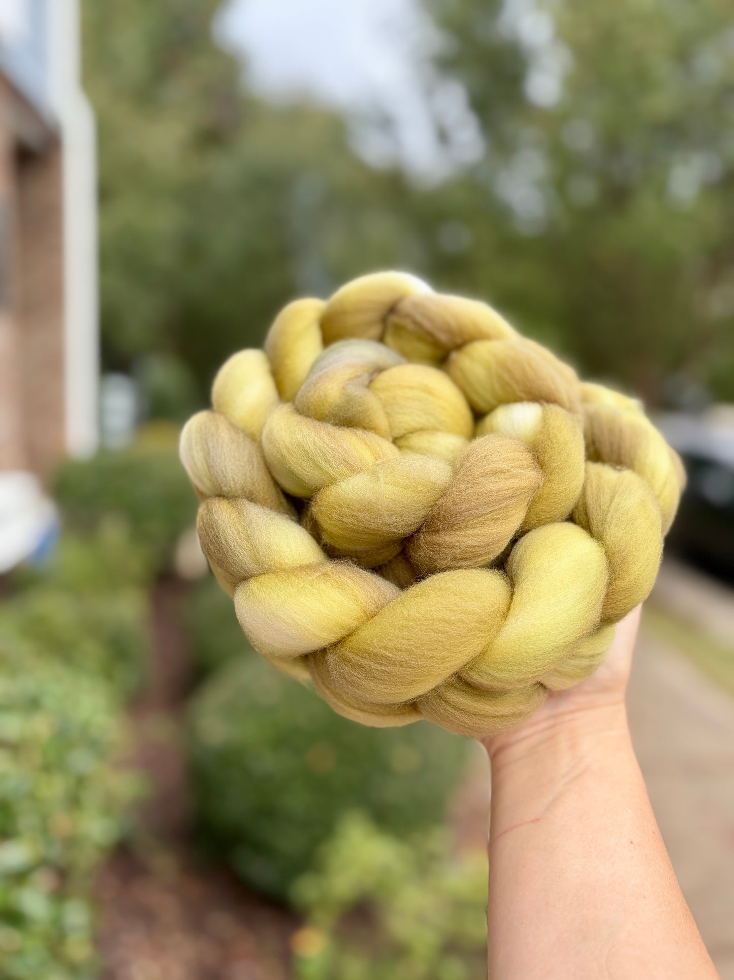 Spring Is Just Around the Corner Fiber