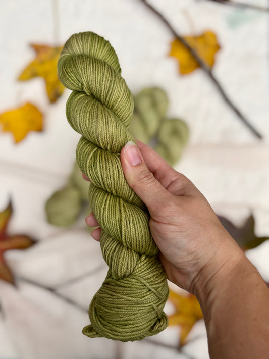 Spring Is Just Around the Corner