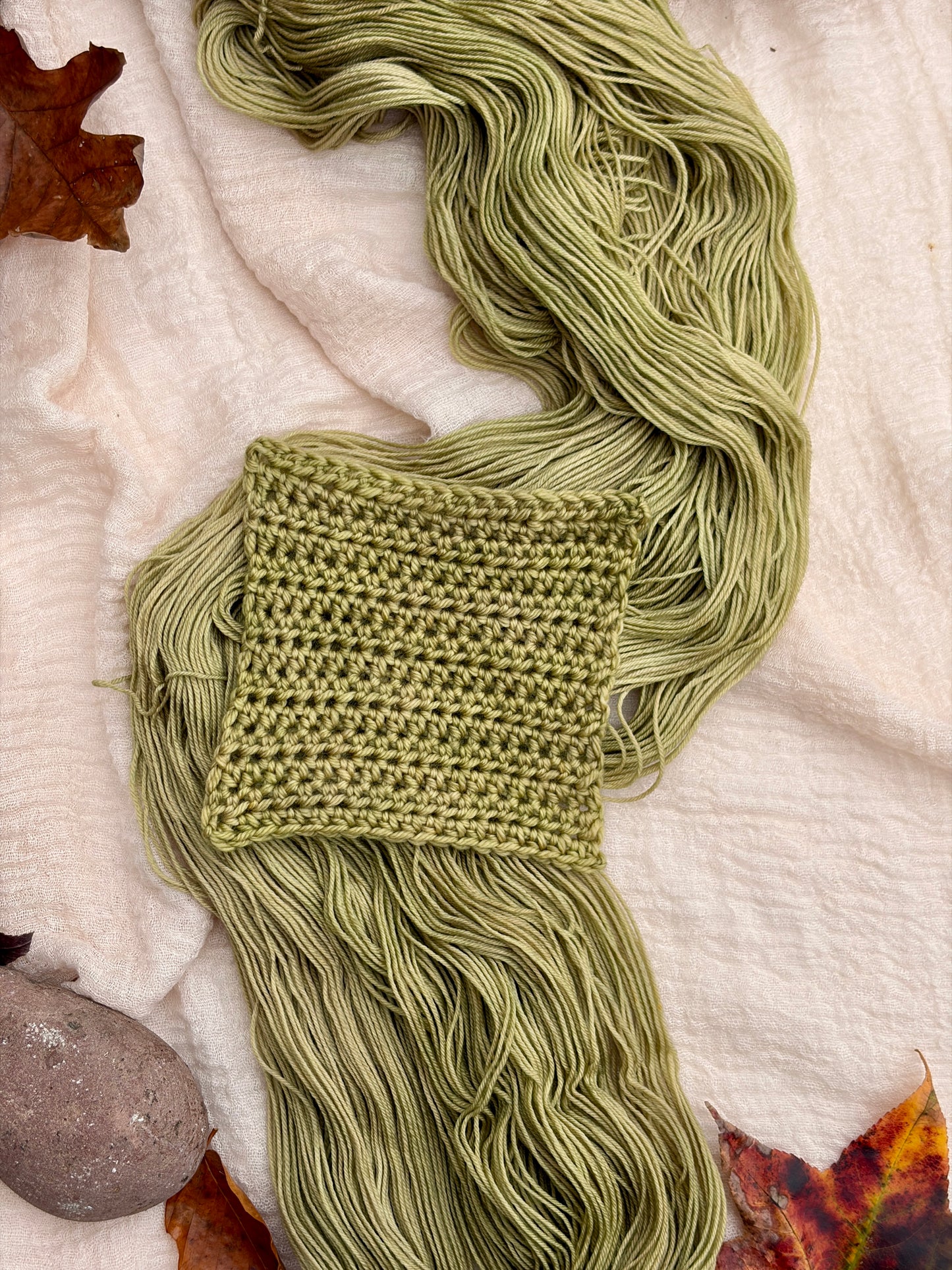 Spring Is Just Around the Corner