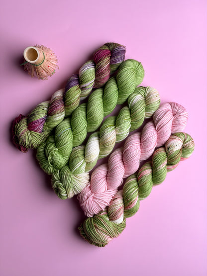 Matcha Cafe Collection