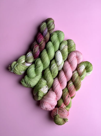 Matcha Cafe Collection