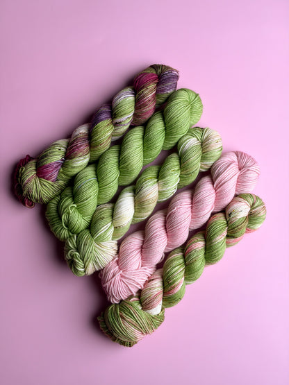 Matcha Cafe Collection