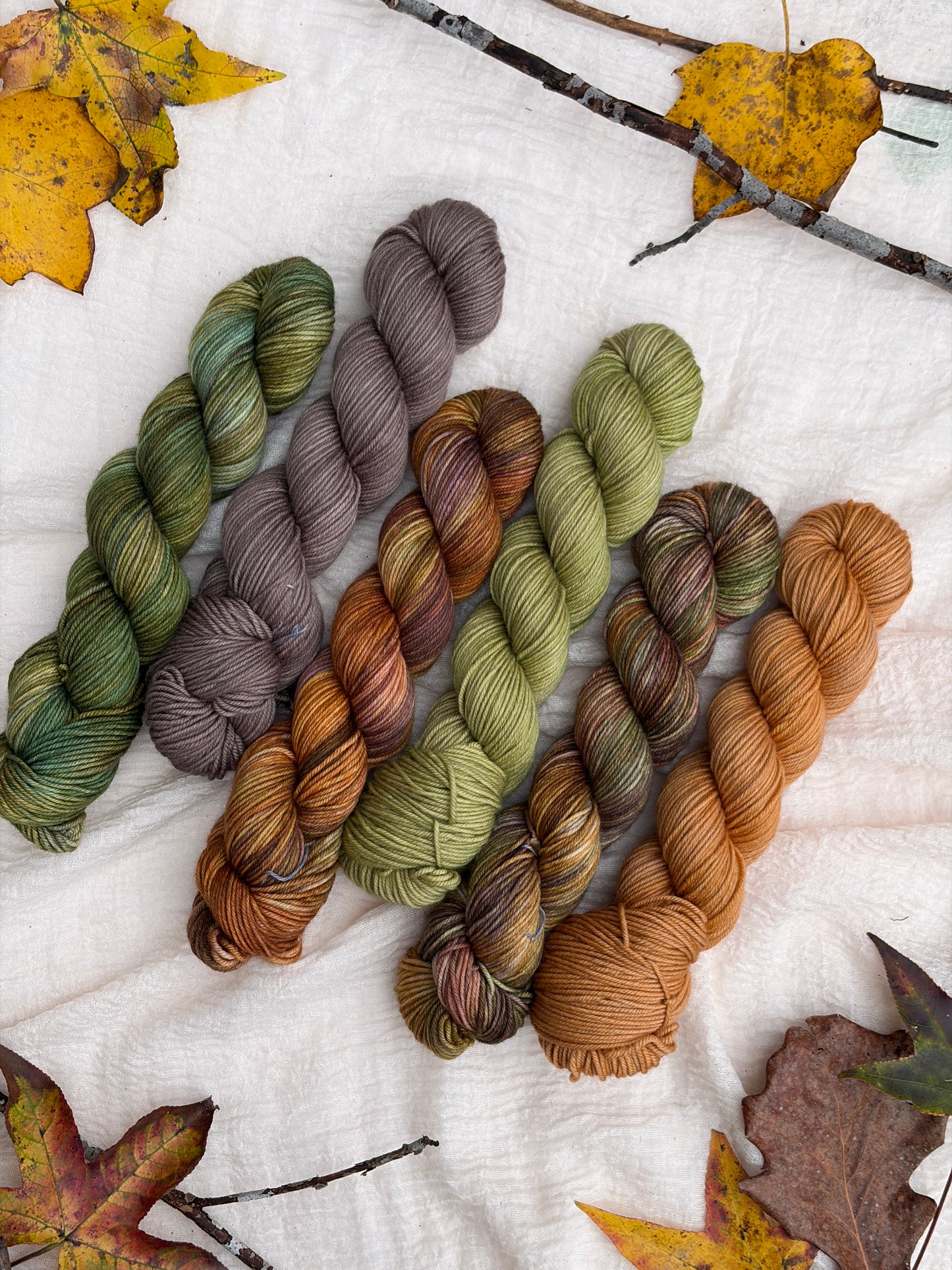 Frog and Toad Collection