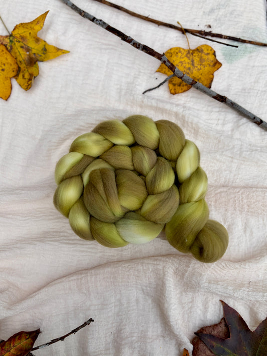 Spring Is Just Around the Corner Fiber