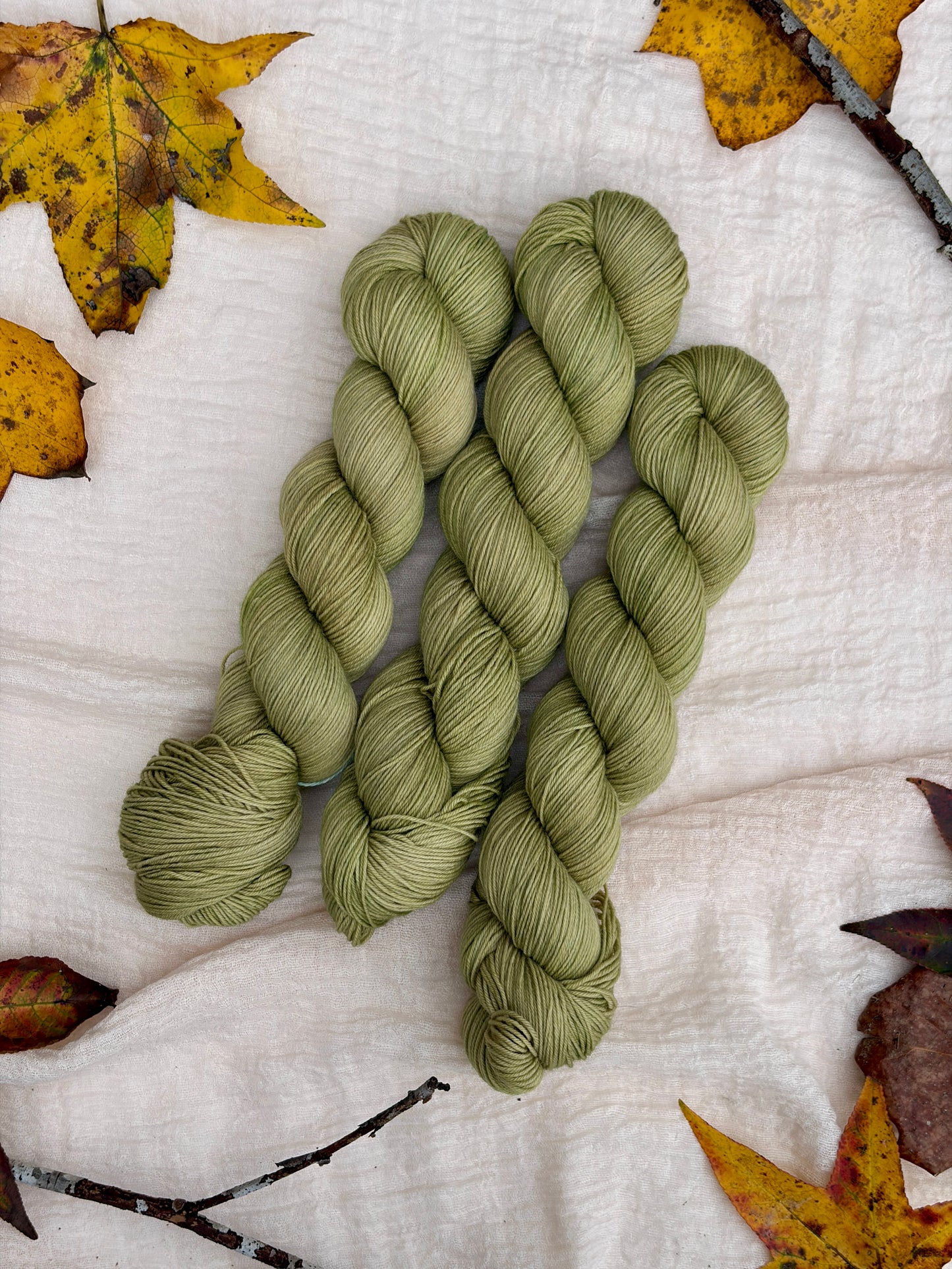 Spring Is Just Around the Corner