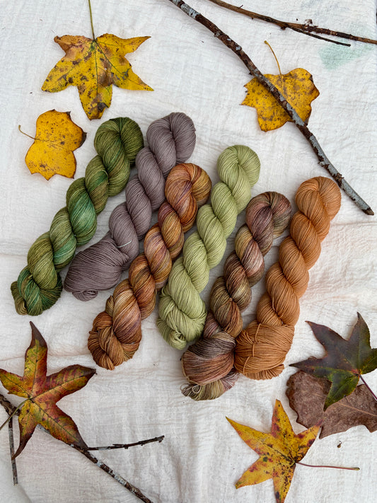 Frog and Toad Collection