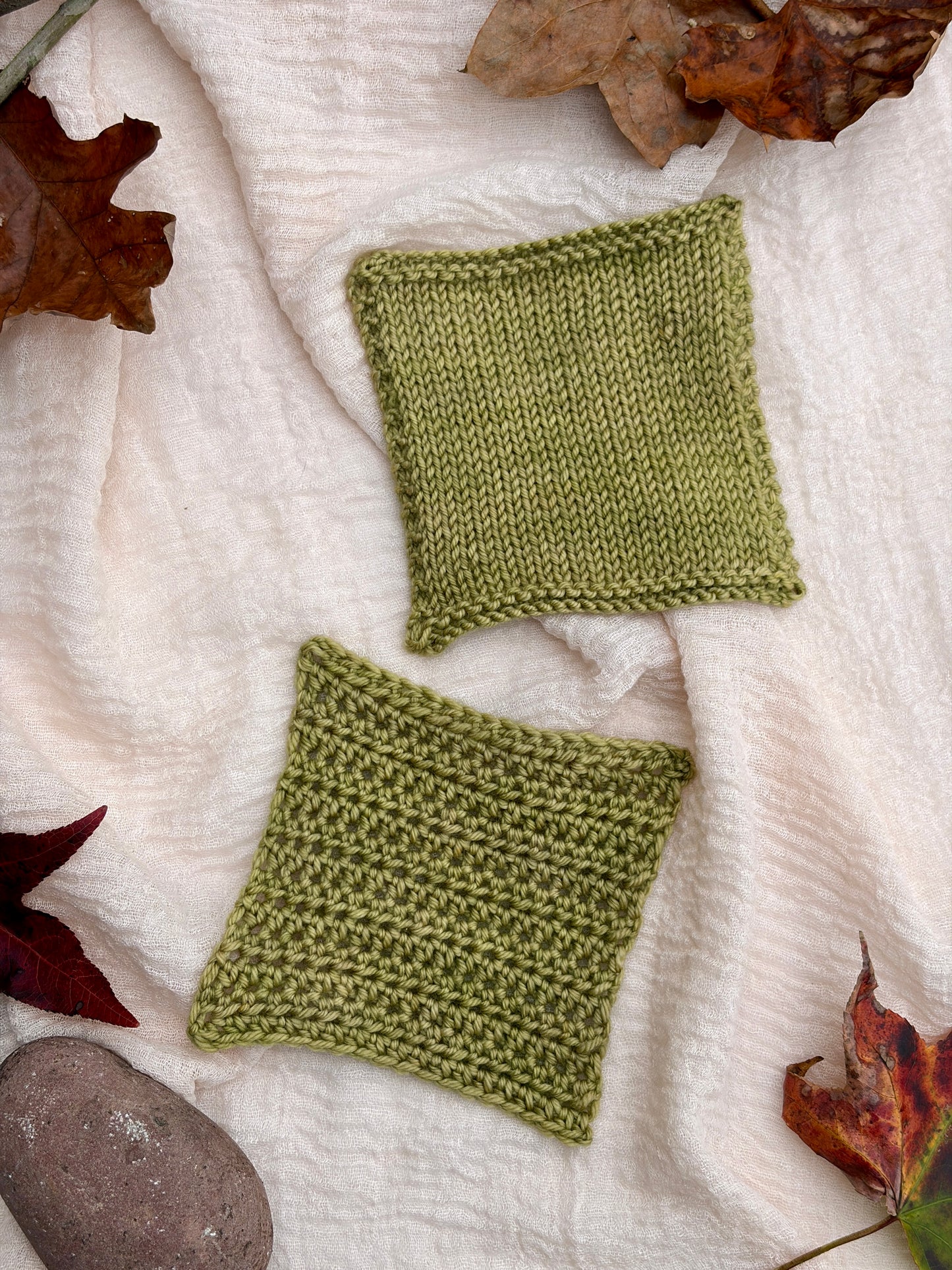 Spring Is Just Around the Corner