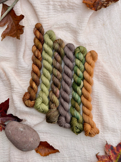 Frog and Toad Minis Set