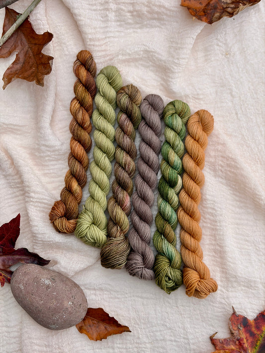 Frog and Toad Minis Set