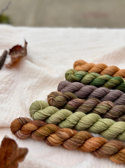 Frog and Toad Minis Set