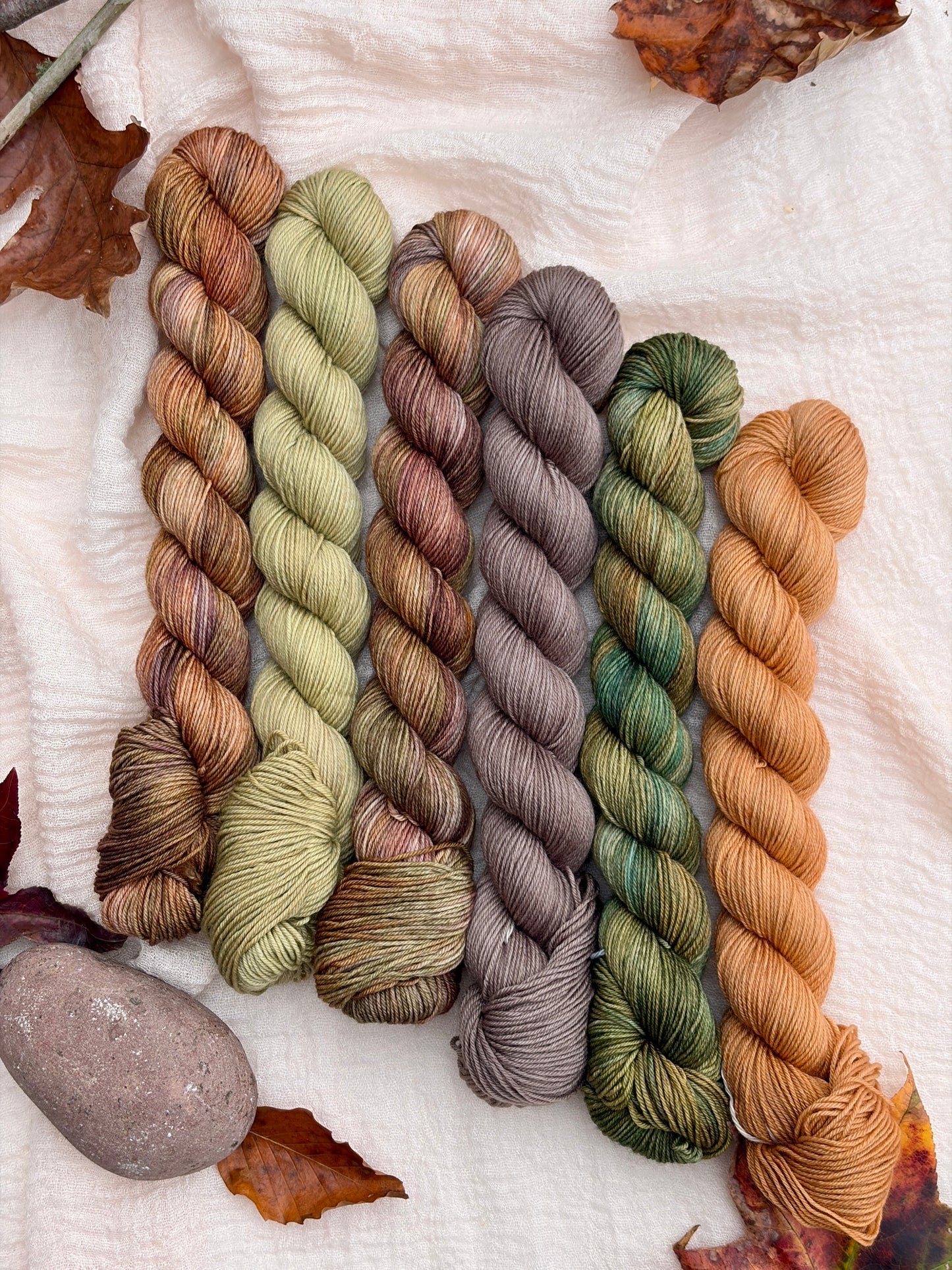 Frog and Toad Collection