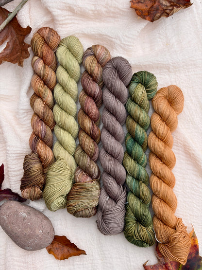 Frog and Toad Collection