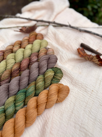 Frog and Toad Collection