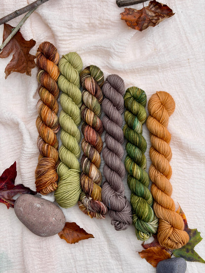 Frog and Toad Collection