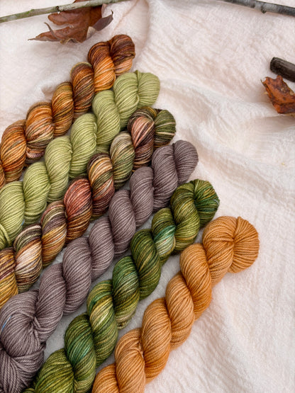 Frog and Toad Collection