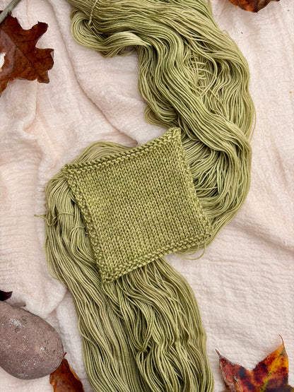 Spring Is Just Around the Corner