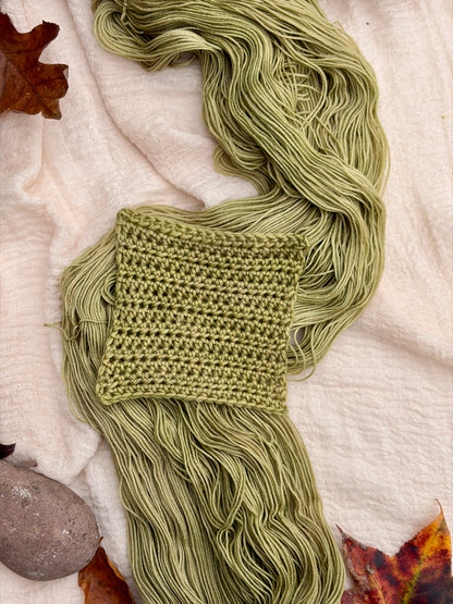 Spring Is Just Around the Corner