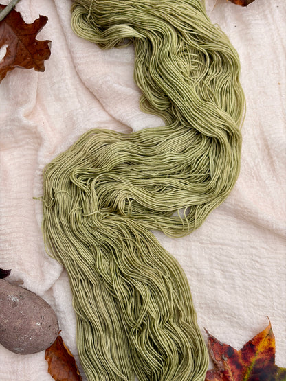 Spring Is Just Around the Corner