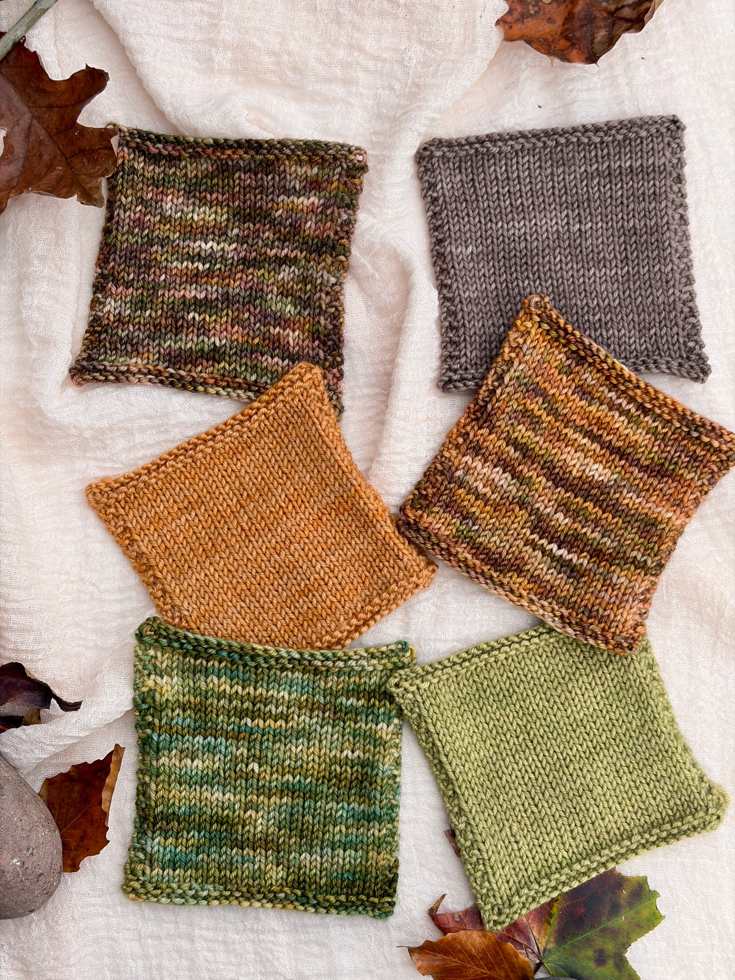 Frog and Toad Collection